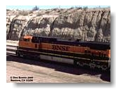 BNSF #1008